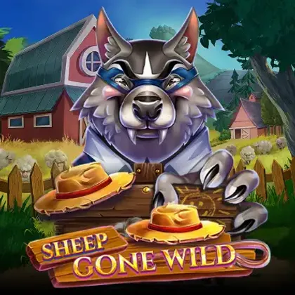 Sheep Gone Wild